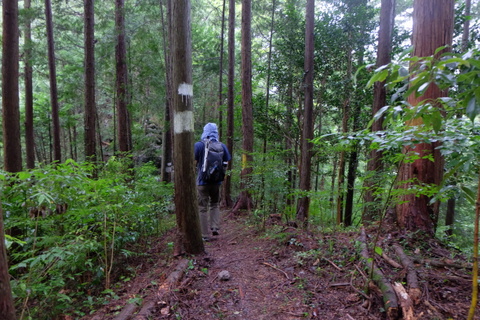 b0281732_8461499.jpg