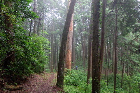 b0281732_8462647.jpg