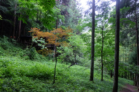 b0281732_846285.jpg