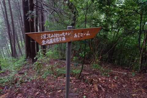 b0281732_8464879.jpg