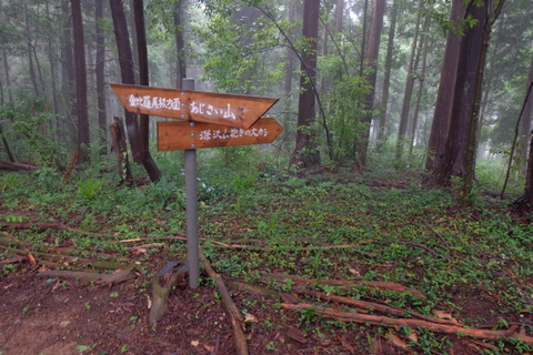 b0281732_8472519.jpg