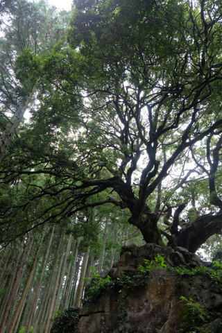 b0281732_8475982.jpg