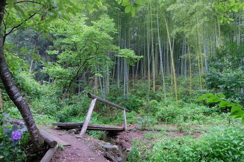 b0281732_8481582.jpg