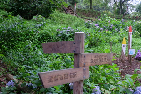 b0281732_8482626.jpg