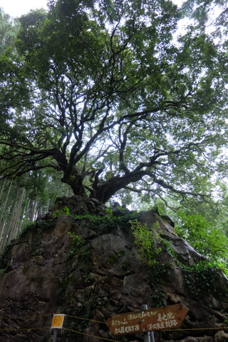 b0281732_848490.jpg