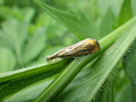 f0118332_232058.jpg