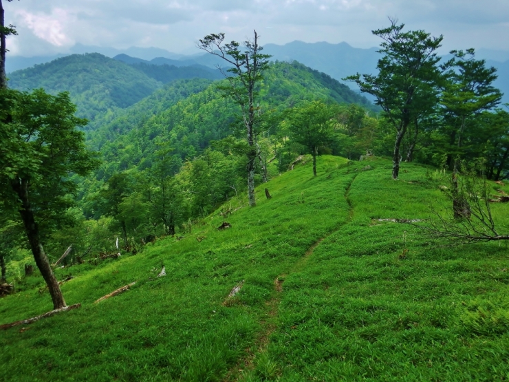 b0321833_17393825.jpg