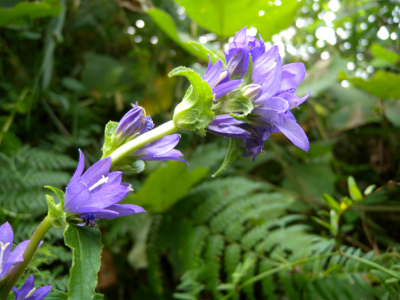 e0272335_20421297.jpg