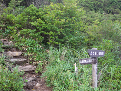 e0272335_20481725.jpg