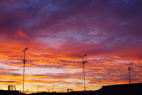 a0299749_21505450.jpg
