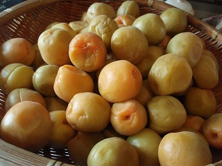 e0004756_2056829.jpg