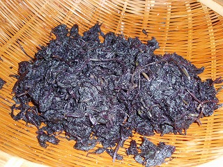 e0004756_2111892.jpg