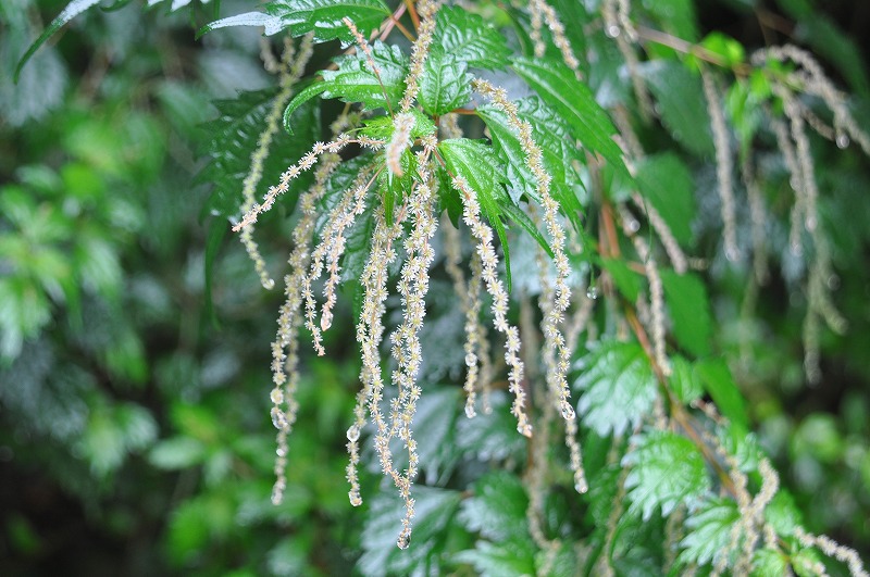 b0104861_21385357.jpg