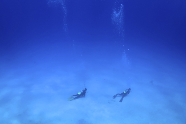 b0062363_18335544.jpg