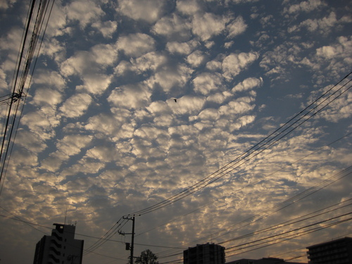 c0148165_1872759.jpg