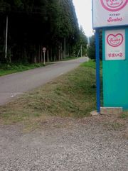 b0063468_15254932.jpg
