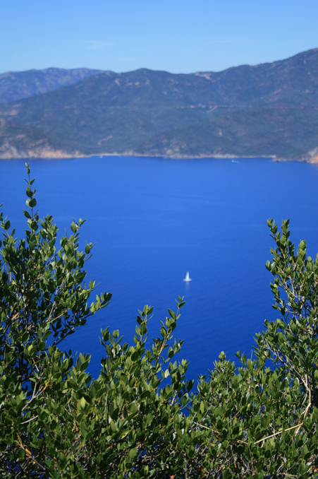 b0120269_1547228.jpg