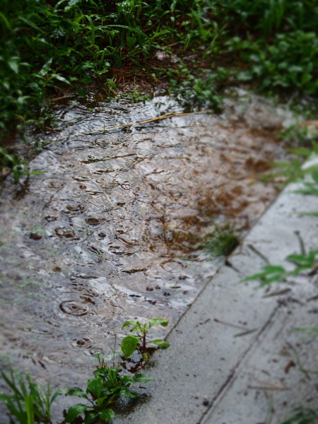 c0122670_22404457.jpg