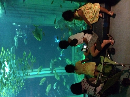 a0240971_07380415.jpg
