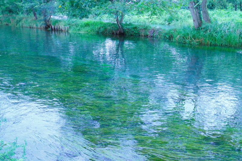 c0268775_09473572.jpg