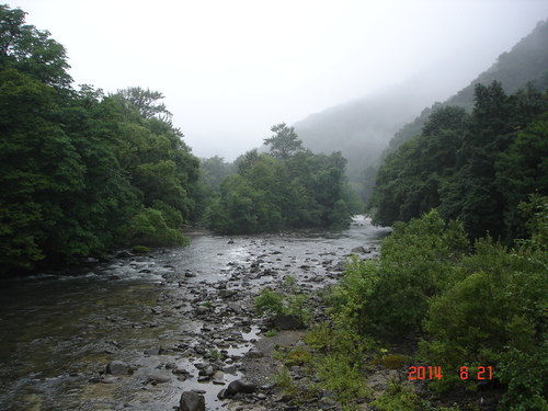 d0165378_14182363.jpg