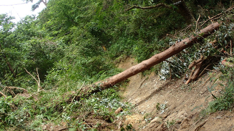 e0024081_20441295.jpg