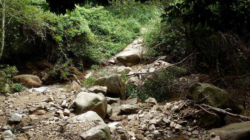 e0024081_20464783.jpg