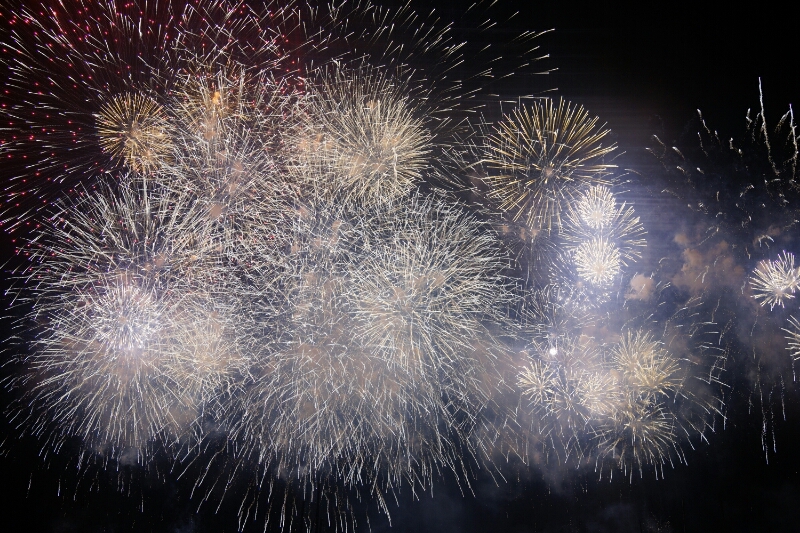 b0300685_7365654.jpg