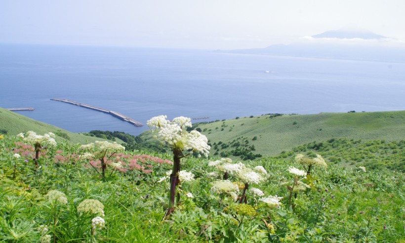 c0144185_1244919.jpg