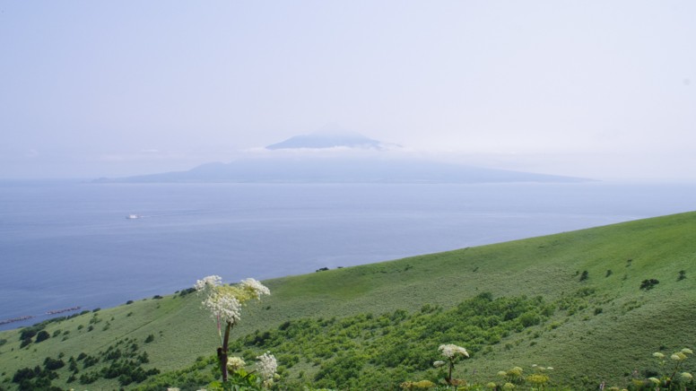 c0144185_13165811.jpg