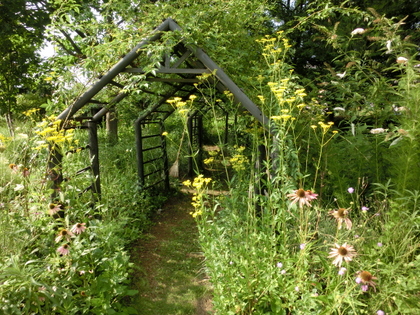 d0312092_10042080.jpg