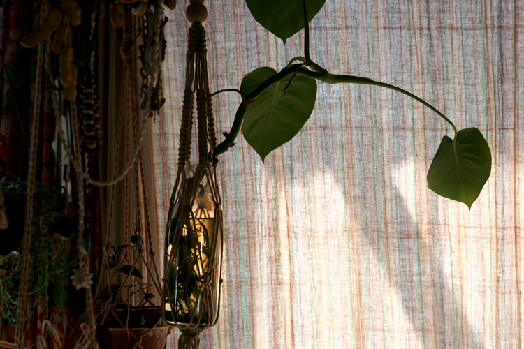 d0100095_10164672.jpg
