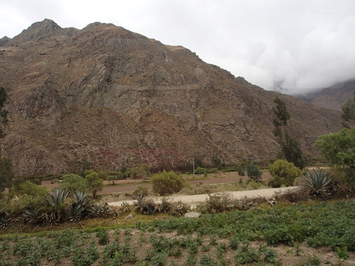 f0107398_21403856.jpg