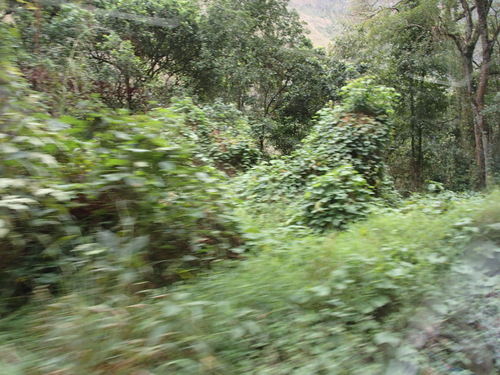 f0107398_21435358.jpg