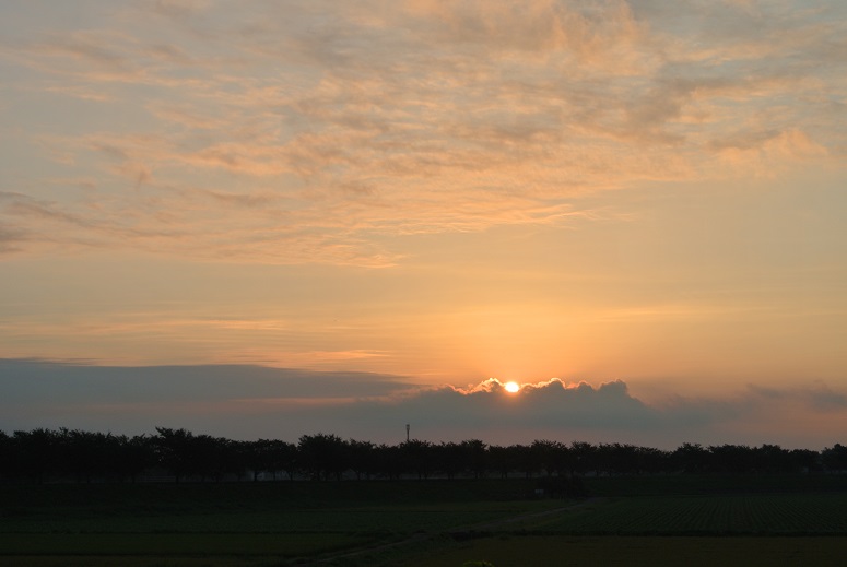 f0179209_1758481.jpg