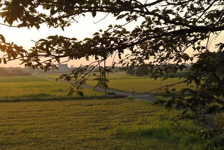 f0179209_1854829.jpg