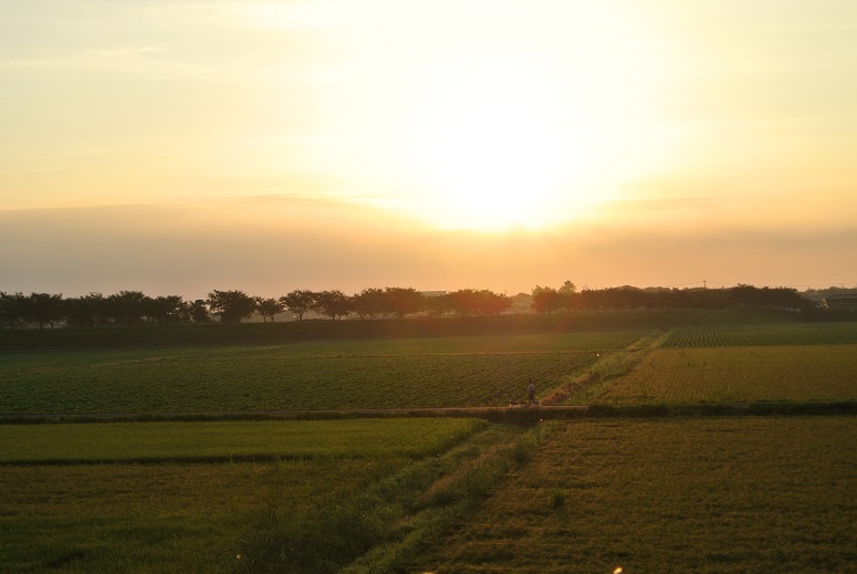f0179209_186630.jpg