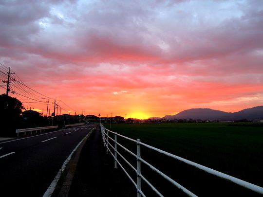a0158613_1248396.jpg