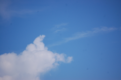 f0248120_16405350.jpg