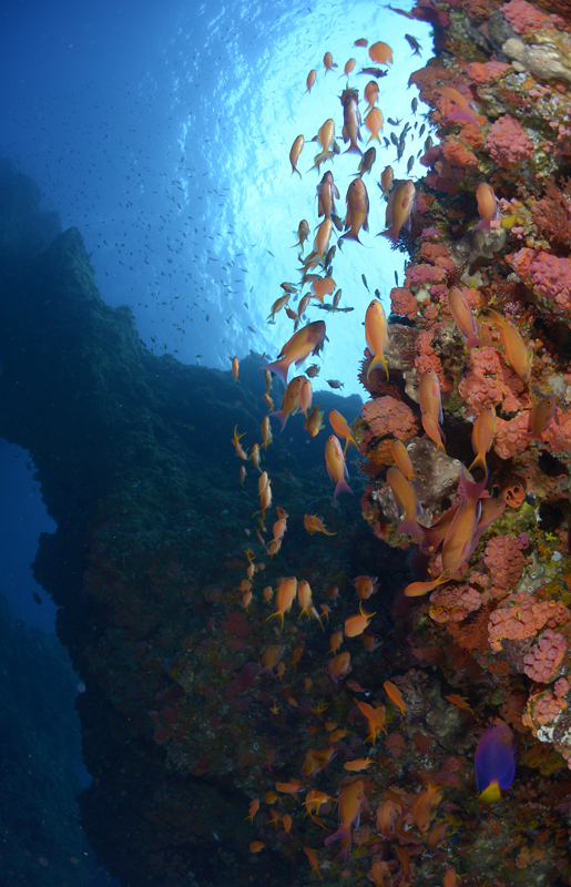 d0039027_20274583.jpg