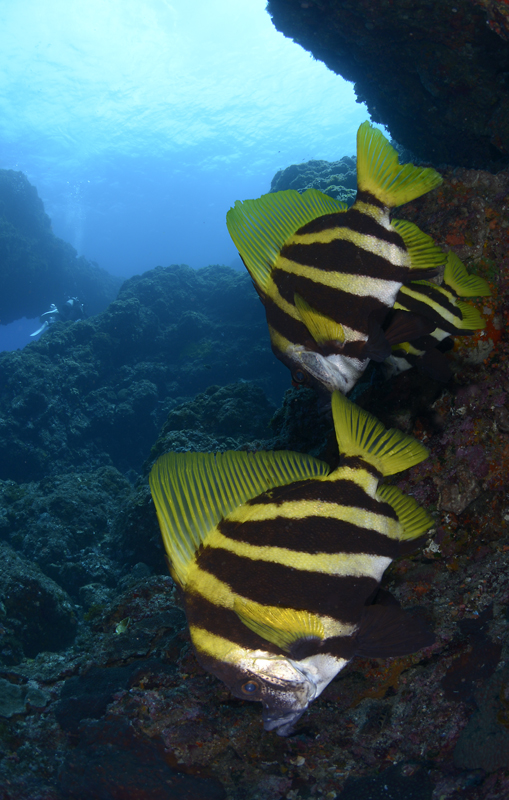 d0039027_20274678.jpg