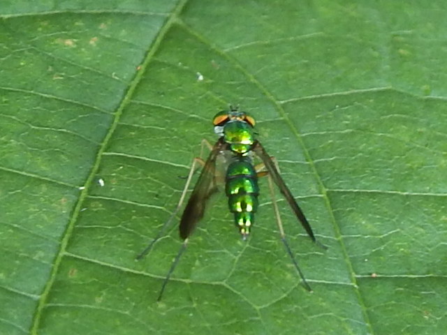f0118332_2227765.jpg