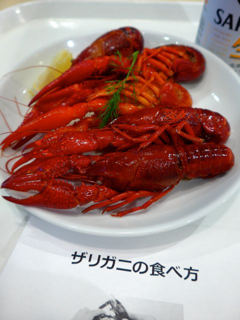 b0156734_17045060.jpg