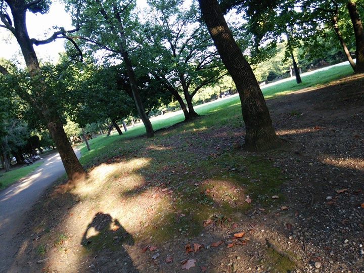 e0066135_13554.jpg