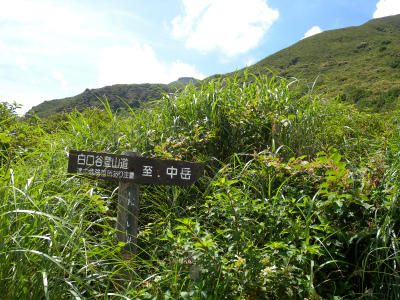 e0272335_448381.jpg