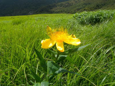 e0272335_5211545.jpg