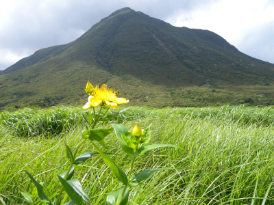 e0272335_523178.jpg