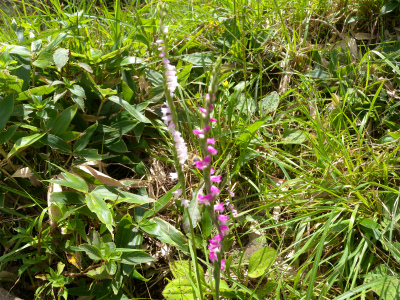 e0272335_52624.jpg