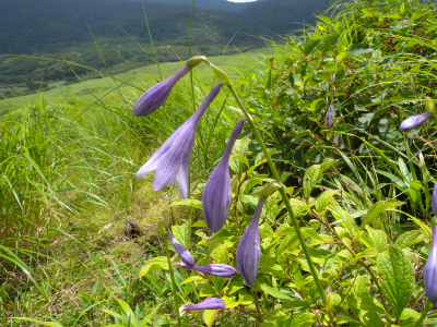 e0272335_550113.jpg