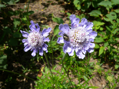 e0272335_552981.jpg